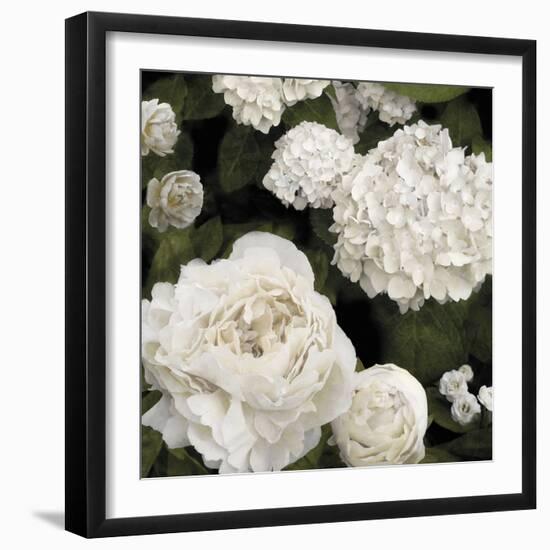 Ebony Flowers-Alan Lambert-Framed Giclee Print