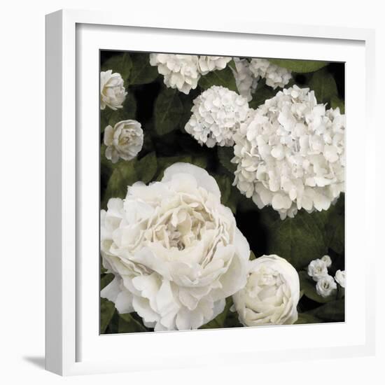 Ebony Flowers-Alan Lambert-Framed Giclee Print