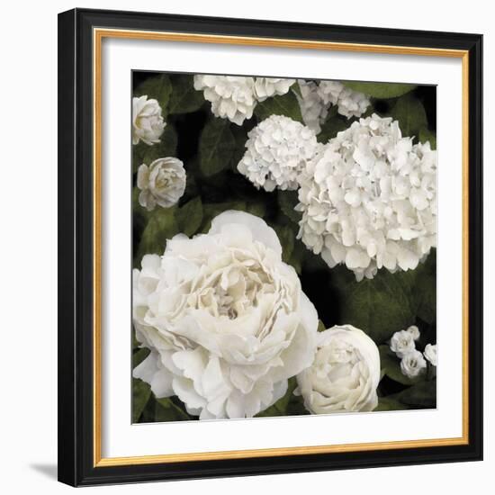 Ebony Flowers-Alan Lambert-Framed Giclee Print