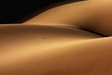Desert and the Human Torso-Ebrahim Bakhtari Bonab-Framed Photographic Print