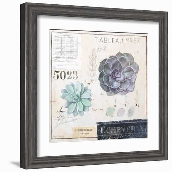 Echeveria…Sketchbook-Angela Staehling-Framed Art Print