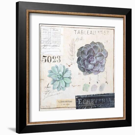 Echeveria…Sketchbook-Angela Staehling-Framed Art Print