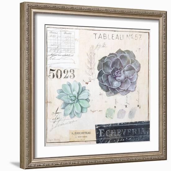 Echeveria…Sketchbook-Angela Staehling-Framed Art Print