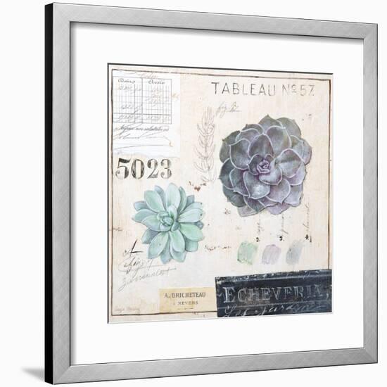 Echeveria…Sketchbook-Angela Staehling-Framed Art Print