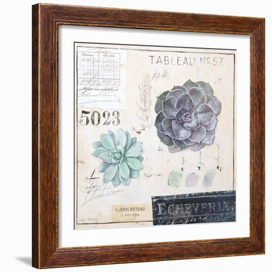 Echeveria…Sketchbook-Angela Staehling-Framed Art Print