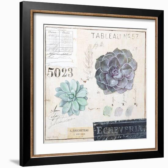 Echeveria…Sketchbook-Angela Staehling-Framed Art Print