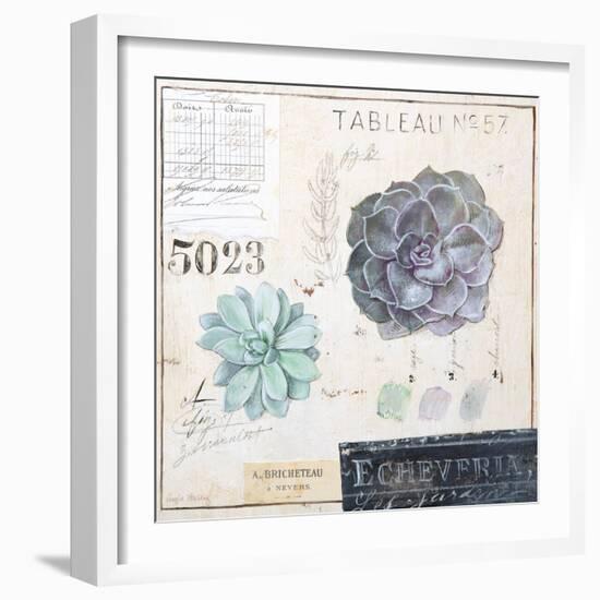 Echeveria…Sketchbook-Angela Staehling-Framed Art Print