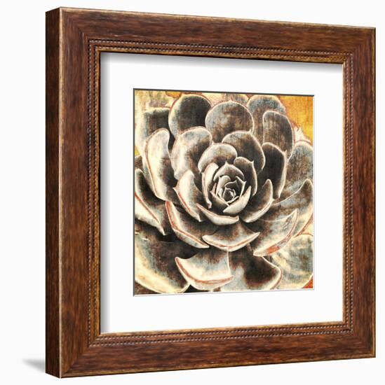 Echeveria-null-Framed Art Print