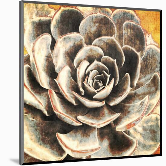 Echeveria-null-Mounted Art Print