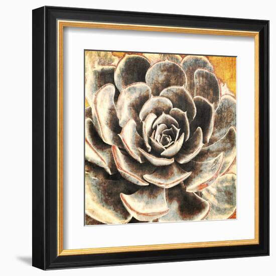 Echeveria-null-Framed Art Print