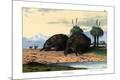 Premium Giclee Print