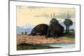 Giclee Print