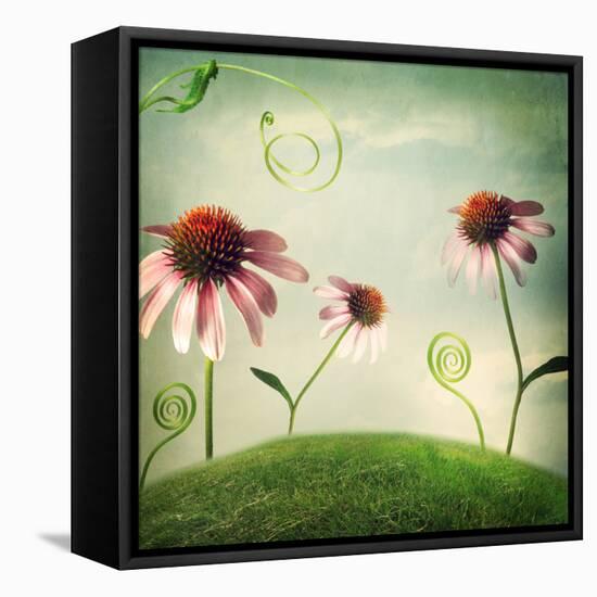 Echinacea Flowers in Fantasy Landscape-Melpomene-Framed Premier Image Canvas