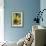 Echinacea I-Erin Berzel-Framed Photographic Print displayed on a wall