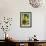 Echinacea I-Erin Berzel-Framed Photographic Print displayed on a wall
