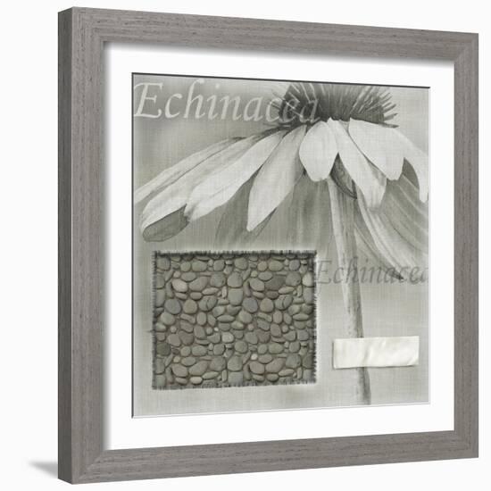 Echinacea I-Kory Fluckiger-Framed Giclee Print