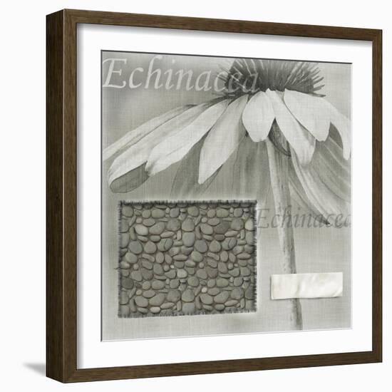 Echinacea I-Kory Fluckiger-Framed Giclee Print