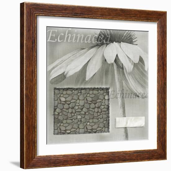 Echinacea I-Kory Fluckiger-Framed Giclee Print