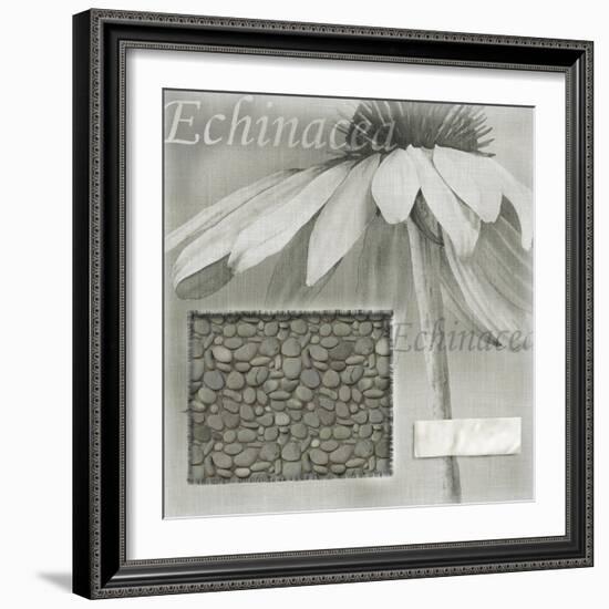 Echinacea I-Kory Fluckiger-Framed Giclee Print