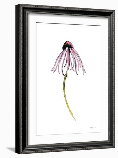 Echinacea I-Shirley Novak-Framed Art Print