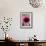 Echinacea III-Erin Berzel-Framed Photographic Print displayed on a wall