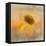 Echinacea in Yellow-Gaille Gray-Framed Premier Image Canvas