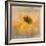 Echinacea in Yellow-Gaille Gray-Framed Photographic Print