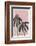 Echinacea  Pale-Ania Zwara-Framed Photographic Print