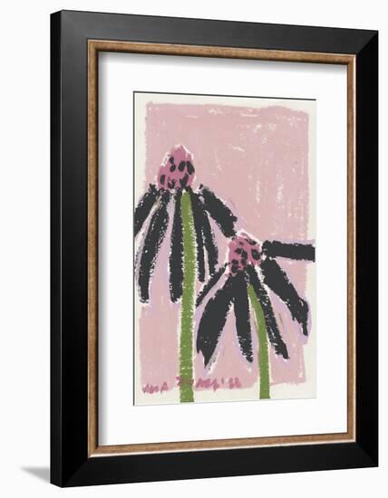 Echinacea  Pale-Ania Zwara-Framed Photographic Print