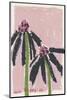 Echinacea  Pale-Ania Zwara-Mounted Photographic Print