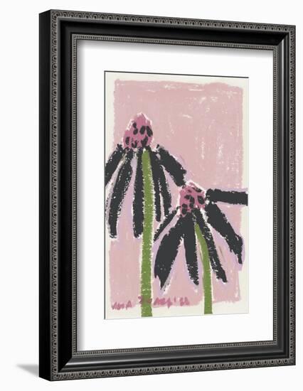 Echinacea  Pale-Ania Zwara-Framed Photographic Print