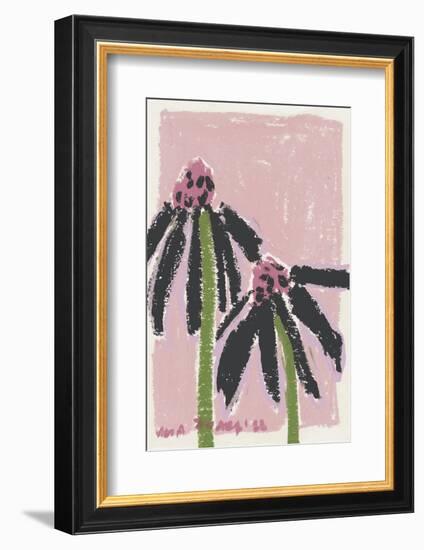 Echinacea  Pale-Ania Zwara-Framed Photographic Print