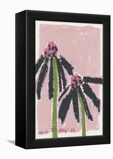 Echinacea  Pale-Ania Zwara-Framed Premier Image Canvas