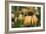 Echinacea VII-Erin Berzel-Framed Photographic Print