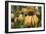 Echinacea VII-Erin Berzel-Framed Photographic Print