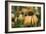 Echinacea VII-Erin Berzel-Framed Photographic Print