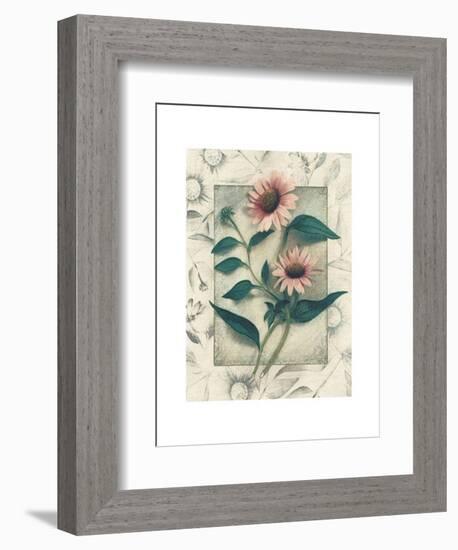 Echinacea-Julie Nightingale-Framed Art Print