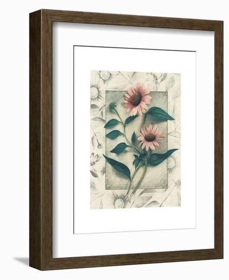 Echinacea-Julie Nightingale-Framed Art Print