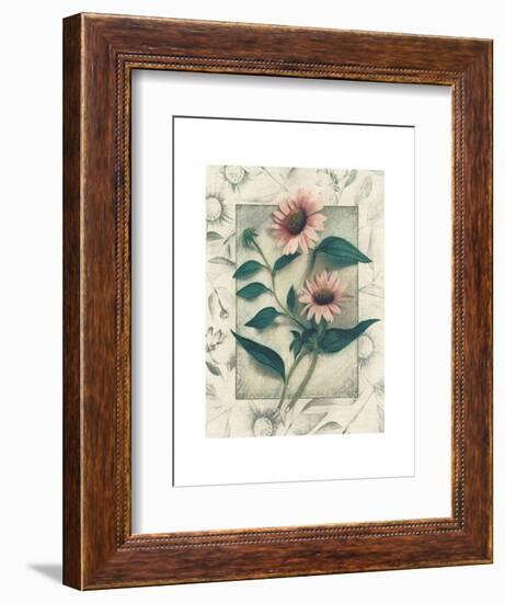 Echinacea-Julie Nightingale-Framed Art Print