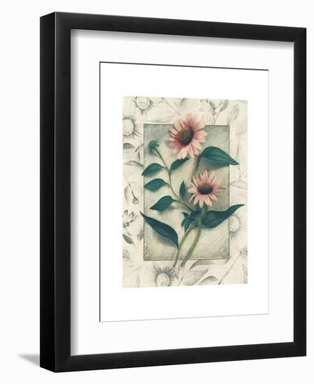 Echinacea-Julie Nightingale-Framed Art Print