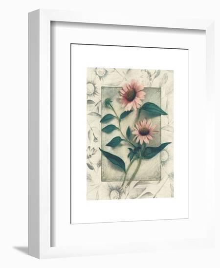 Echinacea-Julie Nightingale-Framed Art Print