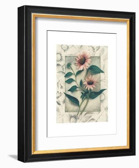 Echinacea-Julie Nightingale-Framed Art Print