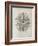 Echinoderm, 18th Century-Middle Temple Library-Framed Photographic Print