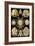 Echinoderms-Ernst Haeckel-Framed Art Print