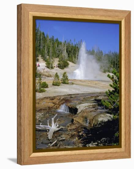 Echinus Geyser, Erupts Every Hour, Norris Basin, Yellowstone National Park, Wyoming, USA-Anthony Waltham-Framed Premier Image Canvas