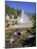 Echinus Geyser, Erupts Every Hour, Norris Basin, Yellowstone National Park, Wyoming, USA-Anthony Waltham-Mounted Photographic Print