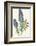 Echium Fastuosum-null-Framed Art Print