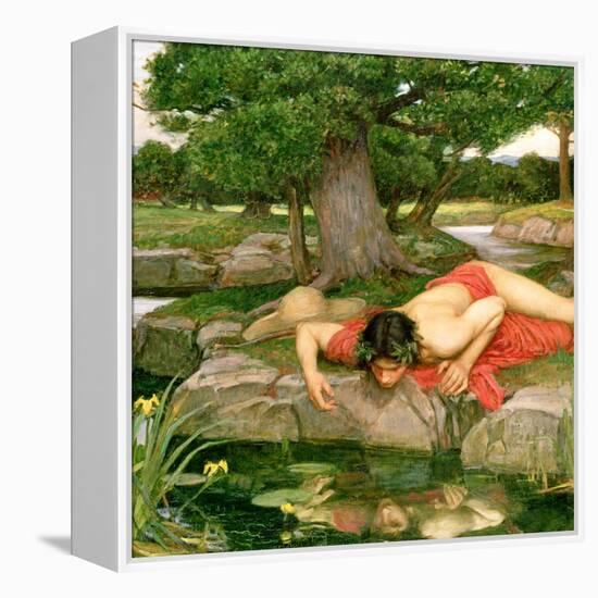 Echo and Narcissus, 1903 (Detail)-John William Waterhouse-Framed Premier Image Canvas