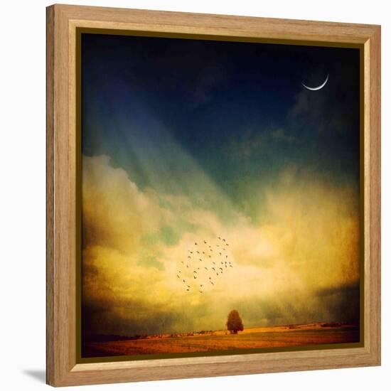 Echo of a Sigh-Philippe Sainte-Laudy-Framed Premier Image Canvas