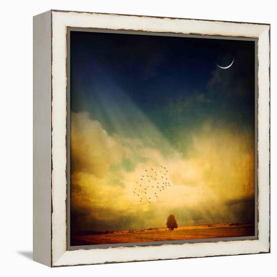 Echo of a Sigh-Philippe Sainte-Laudy-Framed Premier Image Canvas